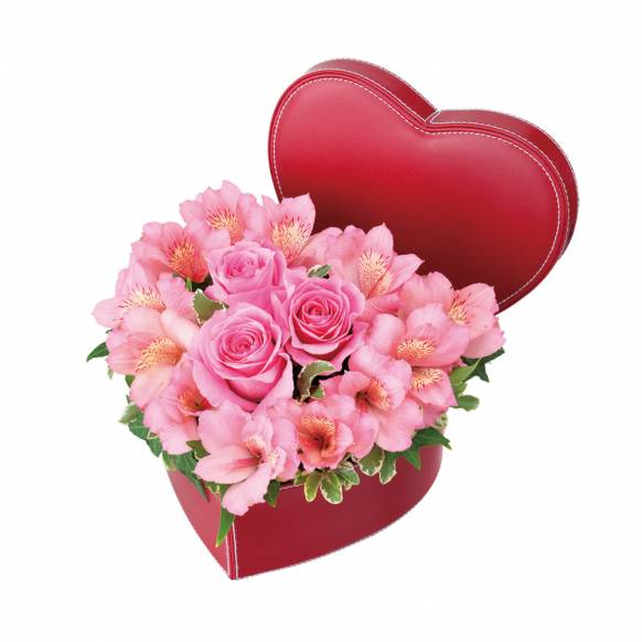 5000円 8000円まで の花 岡山県備前市の花屋 すずき花店にフラワーギフトはお任せください 当店は 安心と信頼の花 キューピット加盟店です 花キューピットタウン